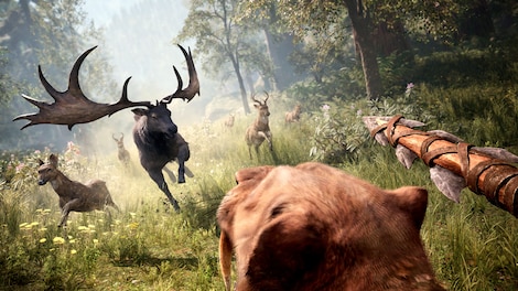 Far Cry Primal (Xbox One) - Xbox Live Key - UNITED KINGDOM - 8