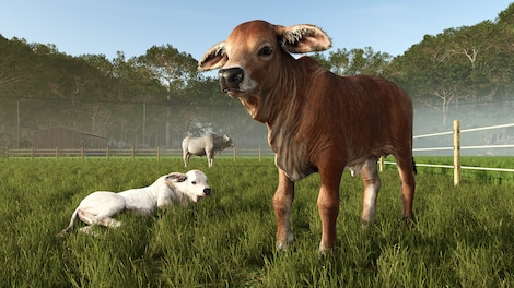 Farming Simulator 25: Beans & Alpacas Expansion (PC) - Steam Key - GLOBAL - 6