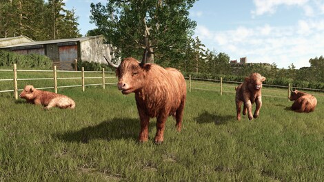Farming Simulator 25: Highlands Fishing Expansion (PC) - Steam Gift - EUROPE - 5