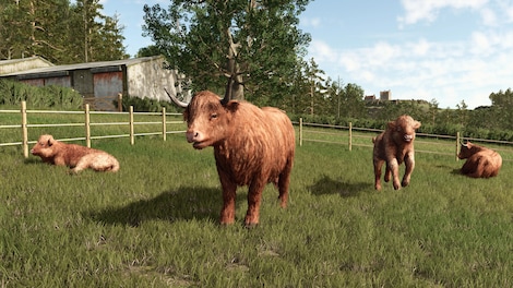 Farming Simulator 25: Highlands Fishing Expansion (PC) - Steam Gift - GLOBAL - 5