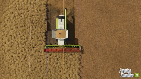 Farming Simulator 25 + Pre-order Bonus (PC) - Steam Key - GLOBAL - 25