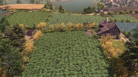 Farthest Frontier (PC) - Steam Gift - EUROPE - 13