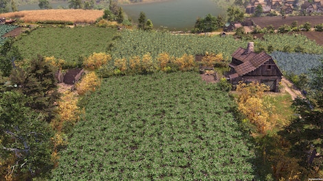 Farthest Frontier (PC) - Steam Key - EUROPE - 13