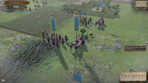 Field of Glory II: Legions Triumphant Steam Key RU/CIS - 24