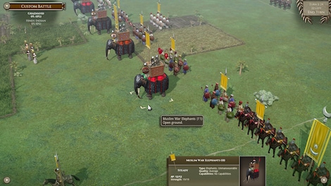 Field of Glory II: Wolves at the Gate Steam Key GLOBAL - 19