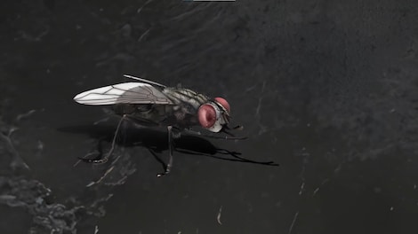 Filthy us 2 (PC) - Steam Account - GLOBAL - 3