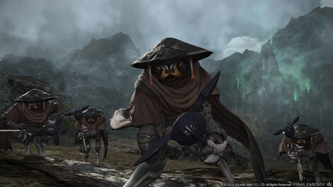 FINAL FANTASY XIV ONLINE BUNDLE (PC) - Mog Station Key - GLOBAL - 11