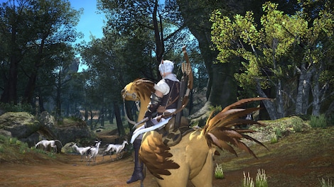 FINAL FANTASY XIV ONLINE COMPLETE EDITION (PC) - Mog Station Key - NORTH AMERICA - 12