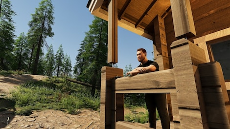Finnish Cottage Simulator (PC) - Steam Account - GLOBAL - 8