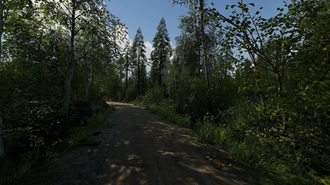 Finnish Cottage Simulator (PC) - Steam Gift - NORTH AMERICA - 6