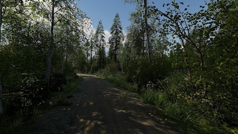Finnish Cottage Simulator (PC) - Steam Key - NORTH AMERICA - 6