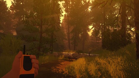 Firewatch (PC) - GOG.COM Key - GLOBAL - 13