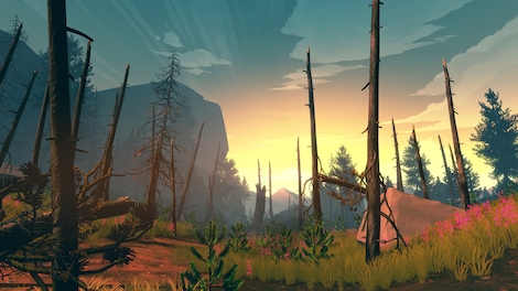 Firewatch (PC) - GOG.COM Key - GLOBAL - 6
