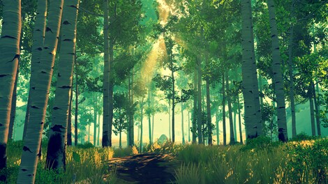Firewatch Steam Key RU/CIS - 14
