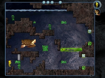 Fish Fillets 2 Steam Key GLOBAL - 4