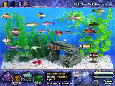 Fish Tycoon Steam Key GLOBAL - 8
