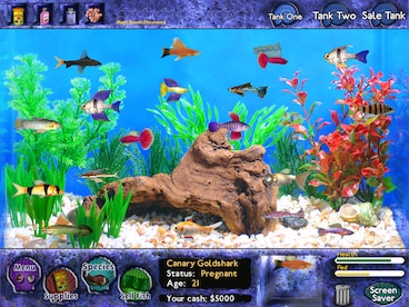 Fish Tycoon Steam Key GLOBAL - 6