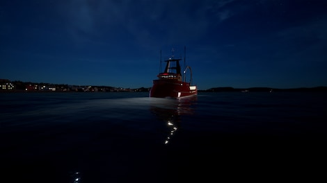Fishing: North Atlantic - Scallops Expansion (PC) - Steam Key - EUROPE - 13