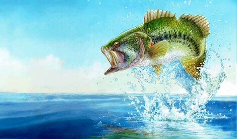 Fishing Sim World: Bass Pro Shops Edition (Xbox One) - Xbox Live Key - EUROPE - 0