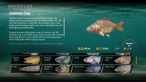 Fishing Sim World: Pro Tour - Bass Pro Shops Equipment Pack (PC) - Steam Gift - GLOBAL - 3