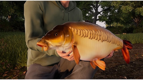 Fishing Sim World: Pro Tour - Giant Carp Pack (PC) - Steam Gift - EUROPE - 12