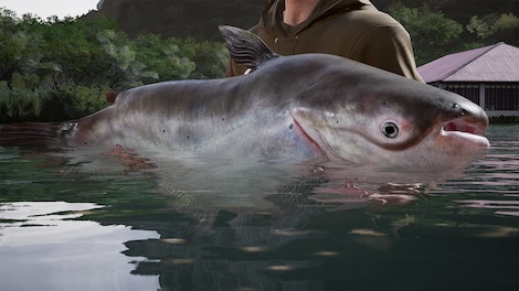 Fishing Sim World: Pro Tour - Giant Carp Pack (PC) - Steam Gift - GLOBAL - 4