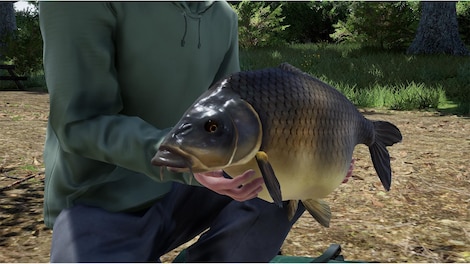 Fishing Sim World: Pro Tour - Giant Carp Pack (PC) - Steam Gift - GLOBAL - 11