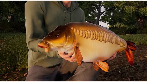 Fishing Sim World: Pro Tour - Giant Carp Pack (PC) - Steam Key - GLOBAL - 12