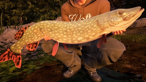 Fishing Sim World: Pro Tour - Jezioro Bestii (PC) - Steam Key - GLOBAL - 6