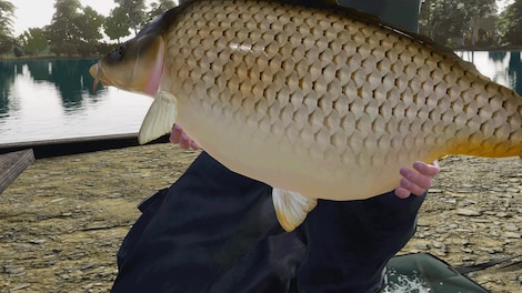 Fishing Sim World®: Pro Tour - Gigantica Road Lake (PC) - Steam Key - GLOBAL - 7