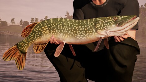 Fishing Sim World (Xbox One) - Xbox Live Key - EUROPE - 7