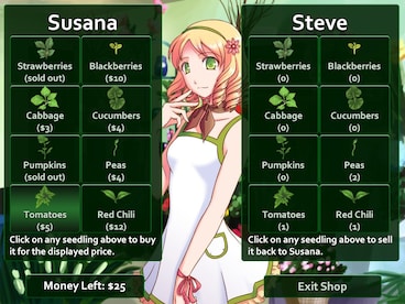 Flower Shop: Summer In Fairbrook Steam Key GLOBAL - 12