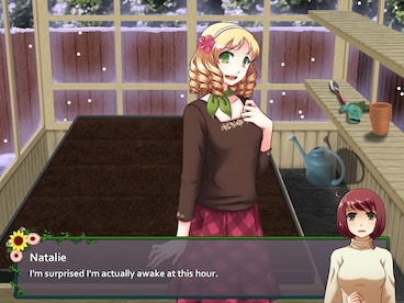 Flower Shop: Winter In Fairbrook Steam Key GLOBAL - 7