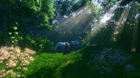 FlowScape (PC) - Steam Gift - GLOBAL - 3