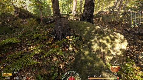 Forest Ranger Simulator (PC) - Steam Key - EUROPE - 9