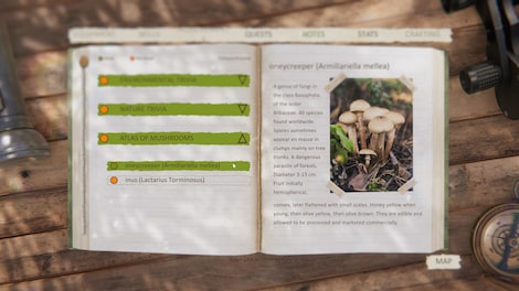 Forest Ranger Simulator (PC) - Steam Key - GLOBAL - 4