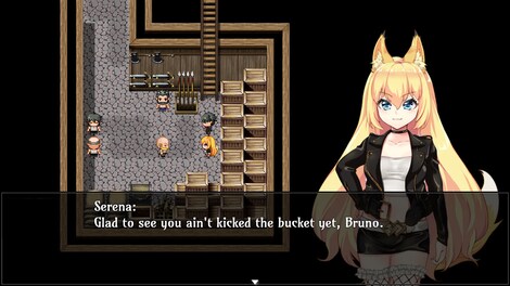 Fox Girls Never Play Dirty (PC) - Steam Gift - NORTH AMERICA - 3
