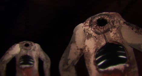 Fragile (PC) - Steam Gift - GLOBAL - 12