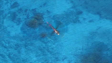 FSX: Steam Edition - REX Texture Direct 4 Add-On Steam Gift GLOBAL - 0
