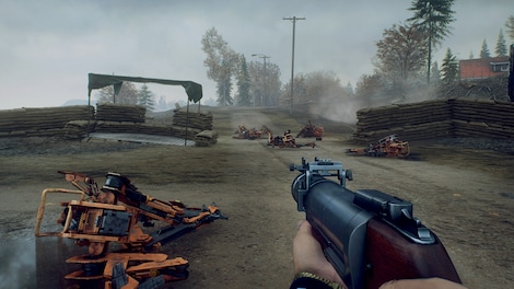 Generation Zero - US Weapons Pack 2 (PC) - Steam Key - GLOBAL - 9