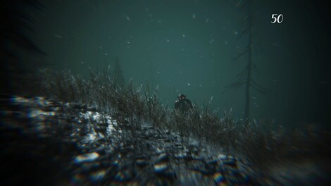 Gevaudan Steam PC Key GLOBAL - 6