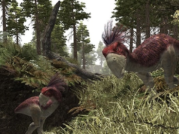 Gothic 3 (PC) - Steam Key - CIS - 13