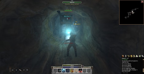 Gran Skrea Online Steam Key GLOBAL - 7