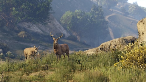 Grand Theft Auto V + Bonus Steam Key GLOBAL 500000 - 17