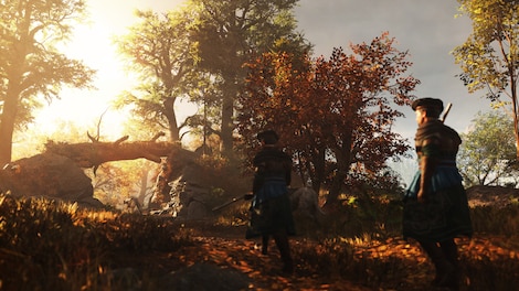 GreedFall II: The Dying World (PC) - Steam Account - GLOBAL - 5
