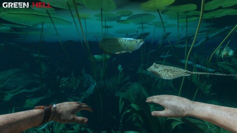 Green Hell (PC) - Steam Account - ASIA - 9