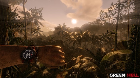 Green Hell (PC) - Steam Account - ASIA - 6