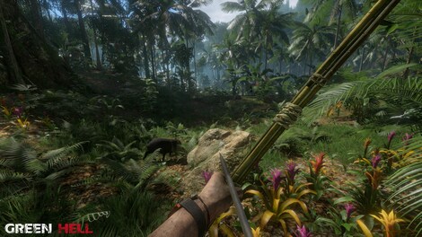 Green Hell (PC) - Steam Gift - GLOBAL - 7