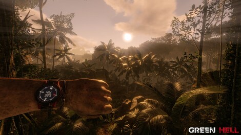 Green Hell (PC) - Steam Gift - GLOBAL - 6