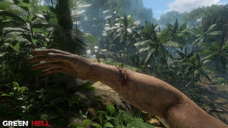Green Hell (PC) - Steam Key - LATAM - 5